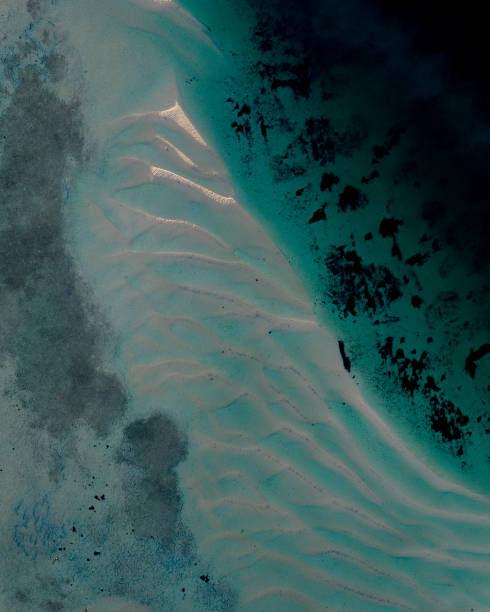OffShore Western Australia Vertical